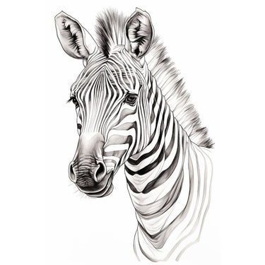 Drawing Zebra Canvas